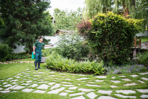 Best Affordable Pest Control Services  in Wentworth, NC