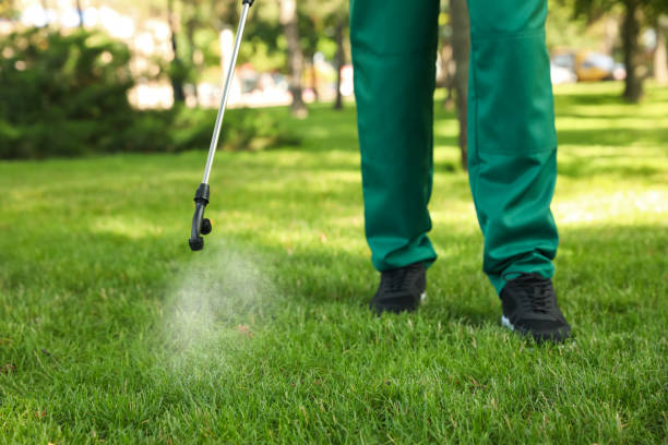 Best Local Pest Control Services  in Wentworth, NC