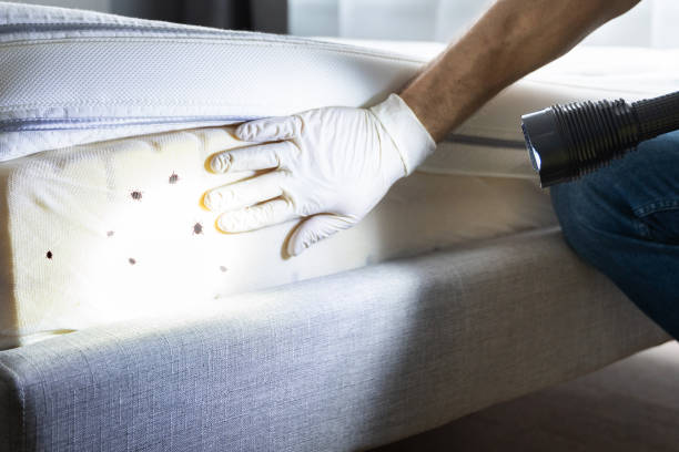 Best Commercial Pest Control Services  in Wentworth, NC