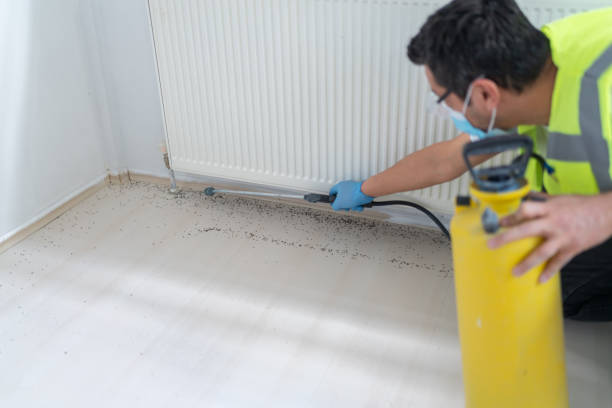 Best Flea Control Services  in Wentworth, NC